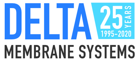 delta ms logo